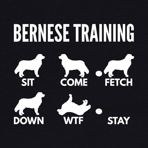 Bernese Training Bernese Dog Tricks by DoggyStyles